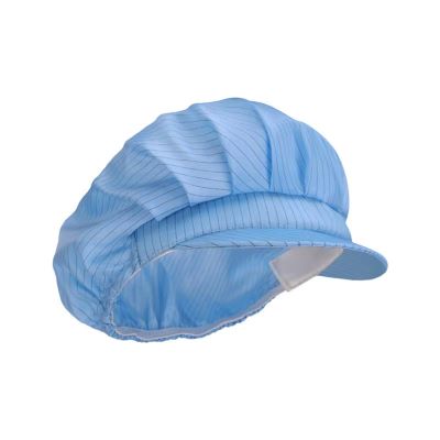 FR0201 ESD Clean Room Cap